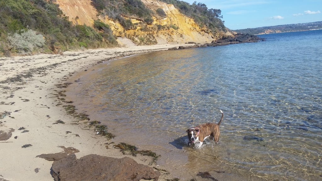 Coral Cove | Mornington VIC 3931, Australia
