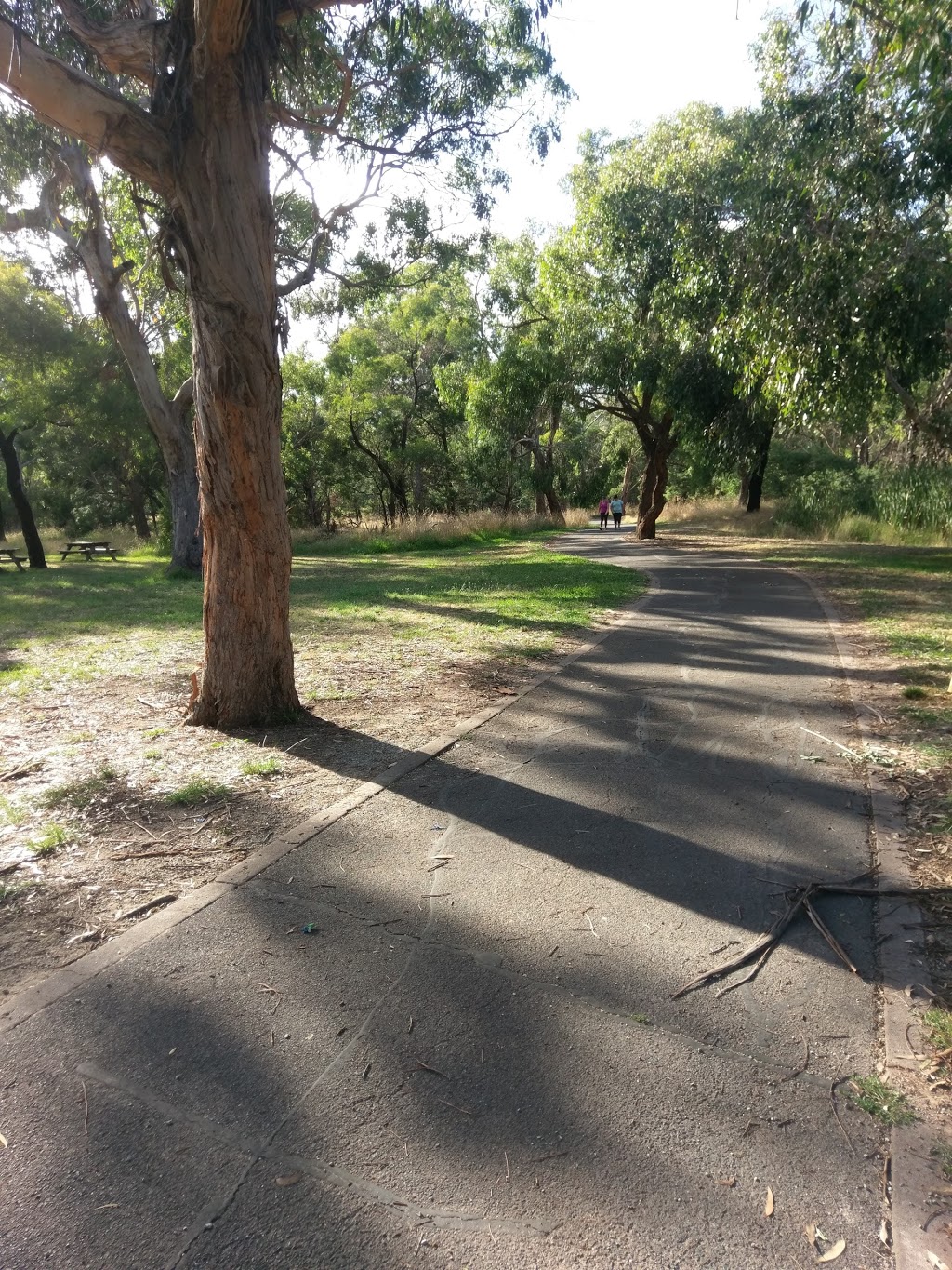 Jells Parkrun | Park Jells, Jells Rd, Wheelers Hill VIC 3150, Australia