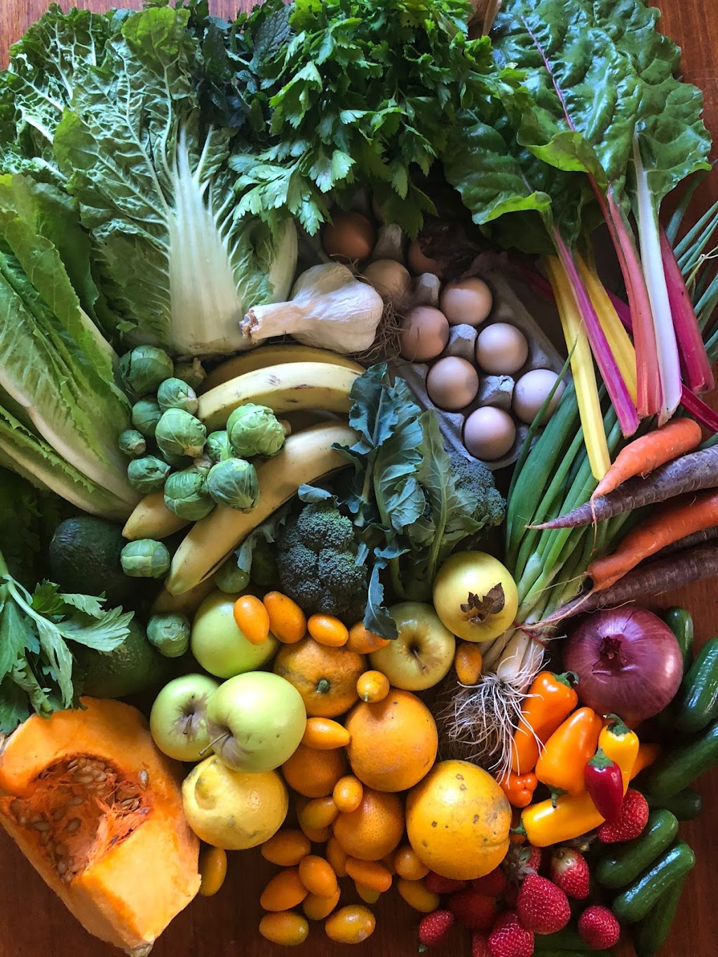 Zestiny Farm | 138 George Downes Dr, Central Mangrove NSW 2250, Australia | Phone: 0416 512 227