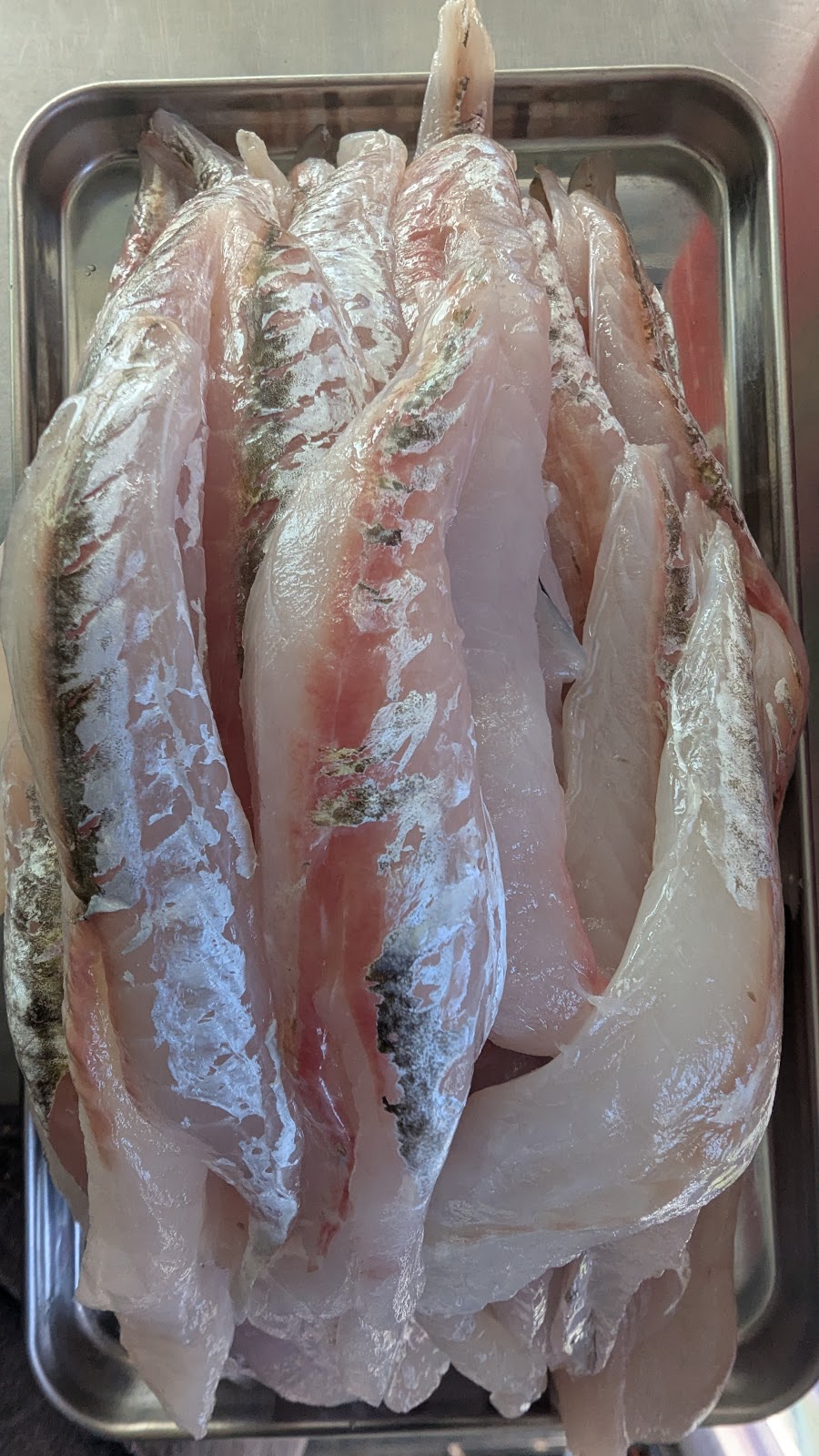 MK FRESH SEAFOODS | 32 Clark St, Colac East VIC 3250, Australia | Phone: 0456 562 061