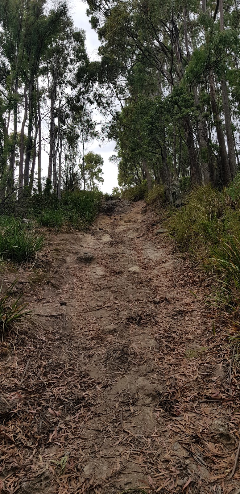 Mount Montgomery | park | Penguin TAS 7316, Australia