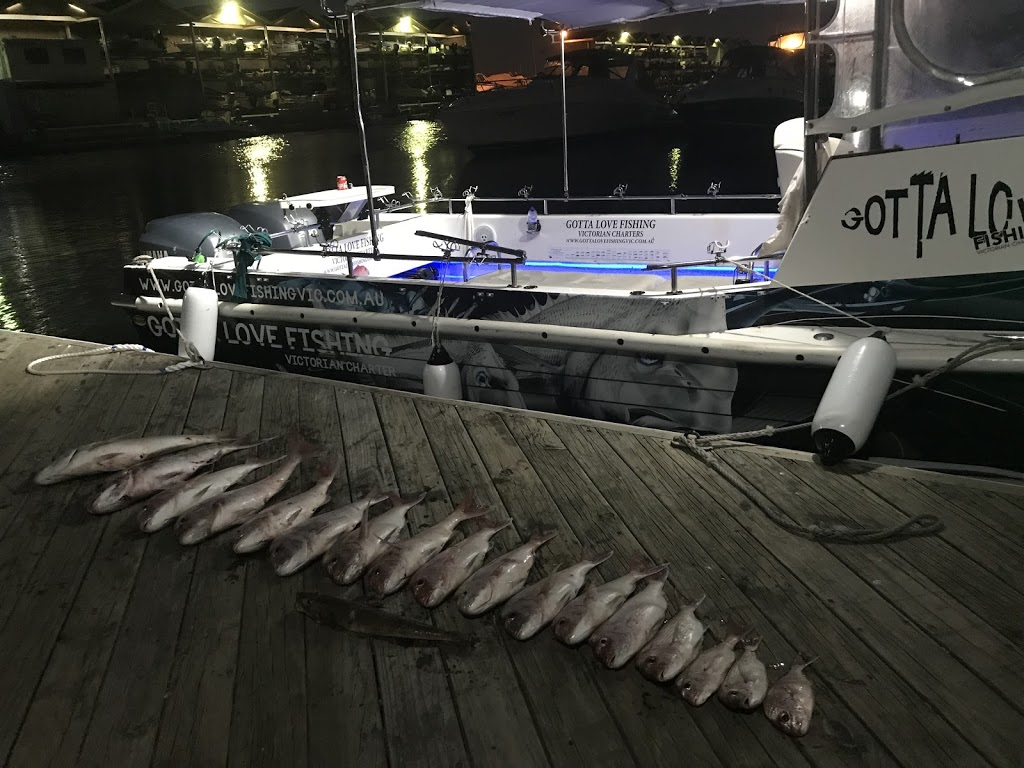 Gotta Love Fishing Victorian Charters |  | boat Ramp, 42C Marine Parade, St Kilda VIC 3182, Australia | 0498640739 OR +61 498 640 739