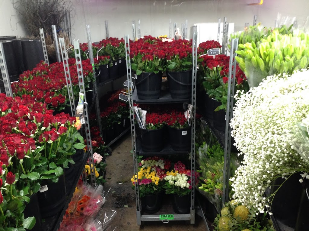 Michael Tesselaar Wholesale Flowers TOWNSVILLE | florist | 29 Hamill St, Garbutt QLD 4814, Australia | 0747552010 OR +61 7 4755 2010