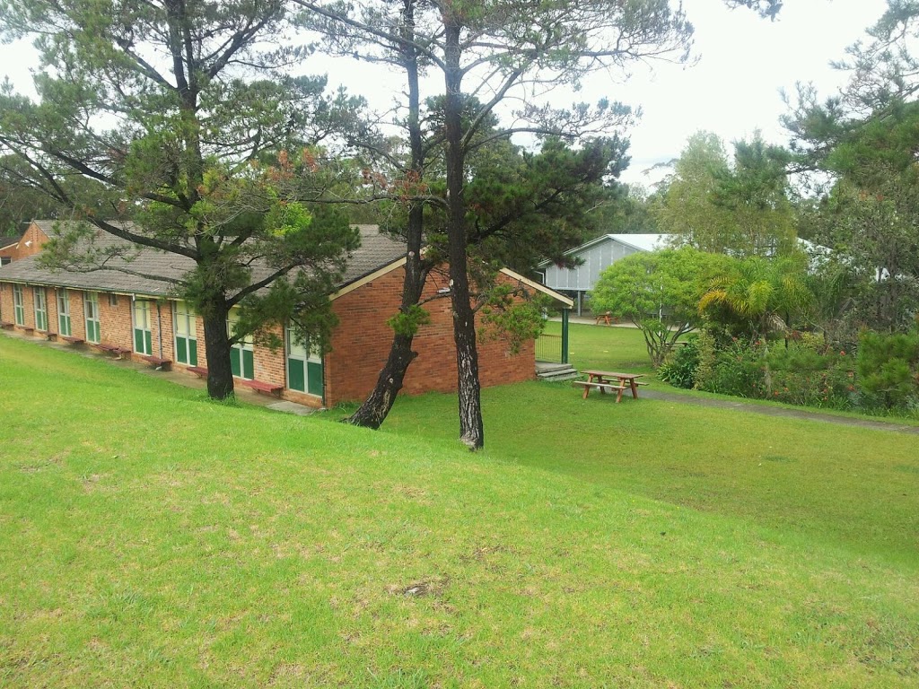 St Ives Park Public School | school | Acron Rd, St. Ives NSW 2075, Australia | 0291444085 OR +61 2 9144 4085