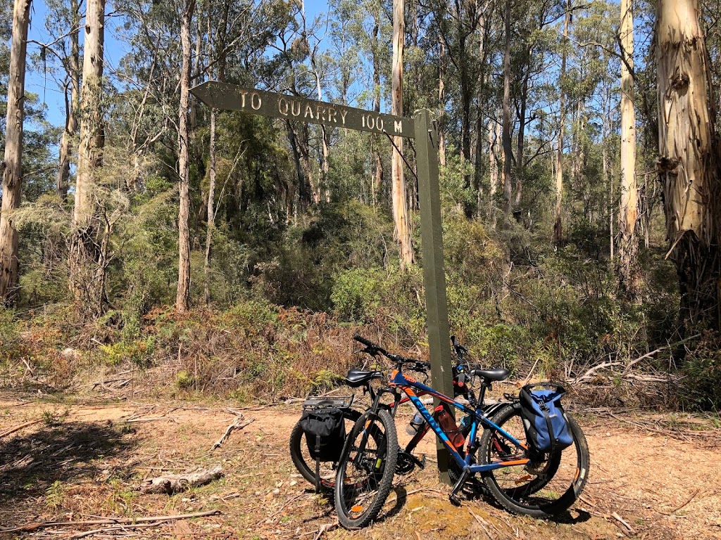 Snowy River Cycling | 7 Forest Rd, Orbost VIC 3888, Australia | Phone: 0428 556 088