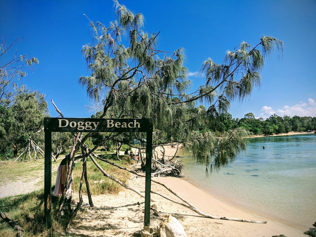 Dog Beach | park | Noosa Botanic Gardens, Claude Batten Dr, Noosa Heads QLD 4567, Australia | 0753296500 OR +61 7 5329 6500