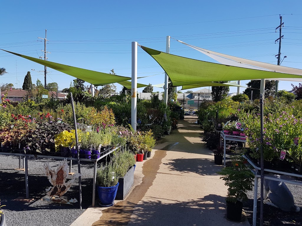 True Blue Garden Centre | store | 127 Hursley Rd, Toowoomba City QLD 4350, Australia | 0746590311 OR +61 7 4659 0311
