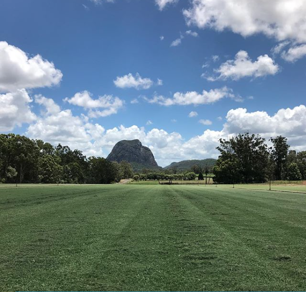 Wild Horse Turf | 113 Link Rd, Glass House Mountains QLD 4518, Australia | Phone: (07) 5496 9790