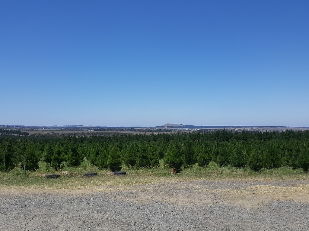 North Pole Christmas Trees Farm | 1000 Old Sydney Rd, Beveridge VIC 3064, Australia | Phone: (03) 9308 3571