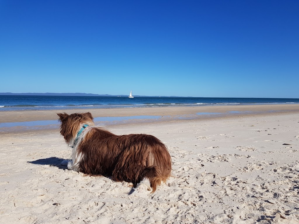 Dog Beach Part Of Red Beach | park | Benalong St, Woorim QLD 4507, Australia