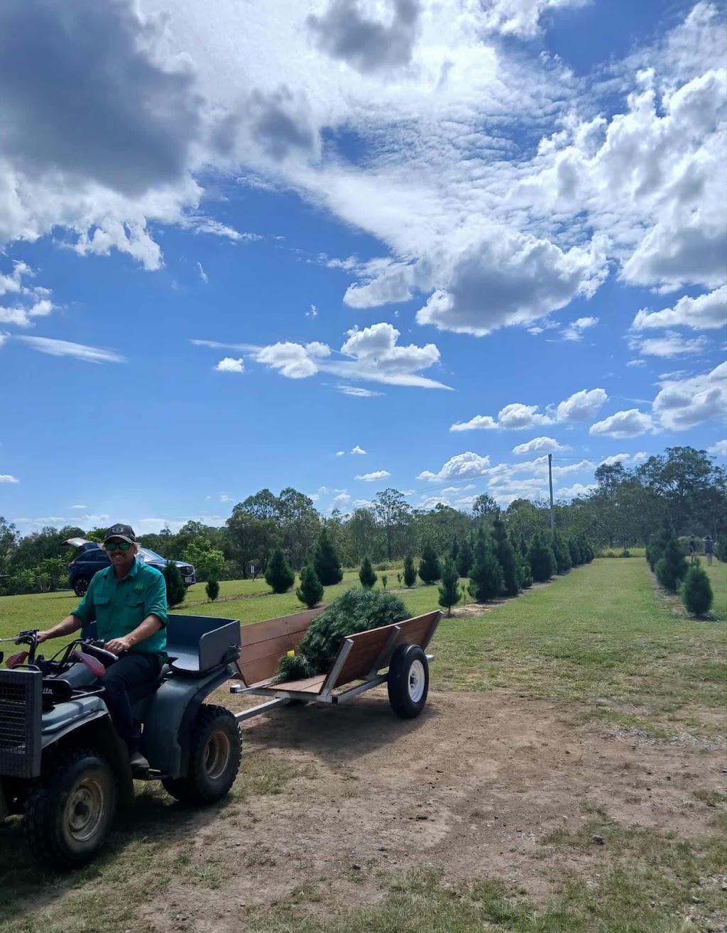 Brisbane Valley Christmas Tree Farm | Hamiltons Ln, Mount Beppo QLD 4313, Australia | Phone: 0409 671 136