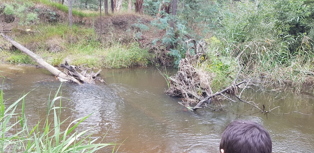 Robin Hood Reserve | park | Drouin VIC 3818, Australia