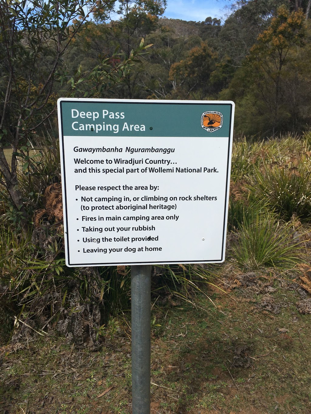 Deep Pass Campground | Deep Pass Walking Track, Newnes Plateau NSW 2790, Australia