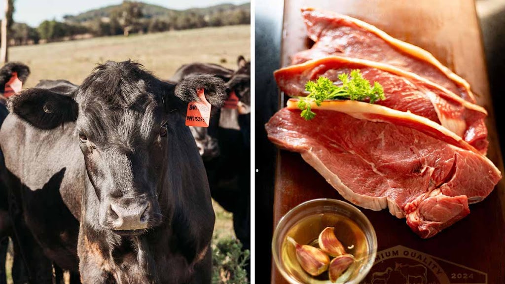 M.G.F Meats Pty Ltd | Triamble Rd, Hargraves NSW 2850, Australia | Phone: 0447 152 535