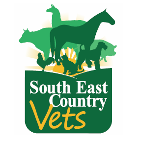 South East Country Vets - Toogoolawah | veterinary care | 31 Cairnscroft St, Toogoolawah QLD 4313, Australia | 0754231303 OR +61 7 5423 1303