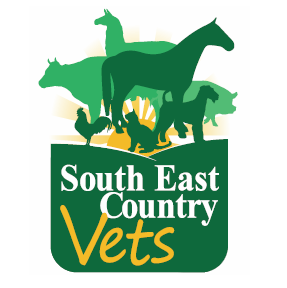 South East Country Vets - Toogoolawah | 31 Cairnscroft St, Toogoolawah QLD 4313, Australia | Phone: (07) 5423 1303