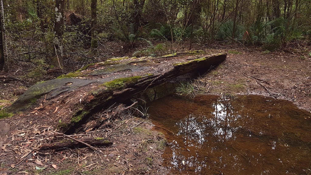 ONeills Creek Picnic Reserve | park | 1416 Claude Rd, Gowrie Park TAS 7306, Australia