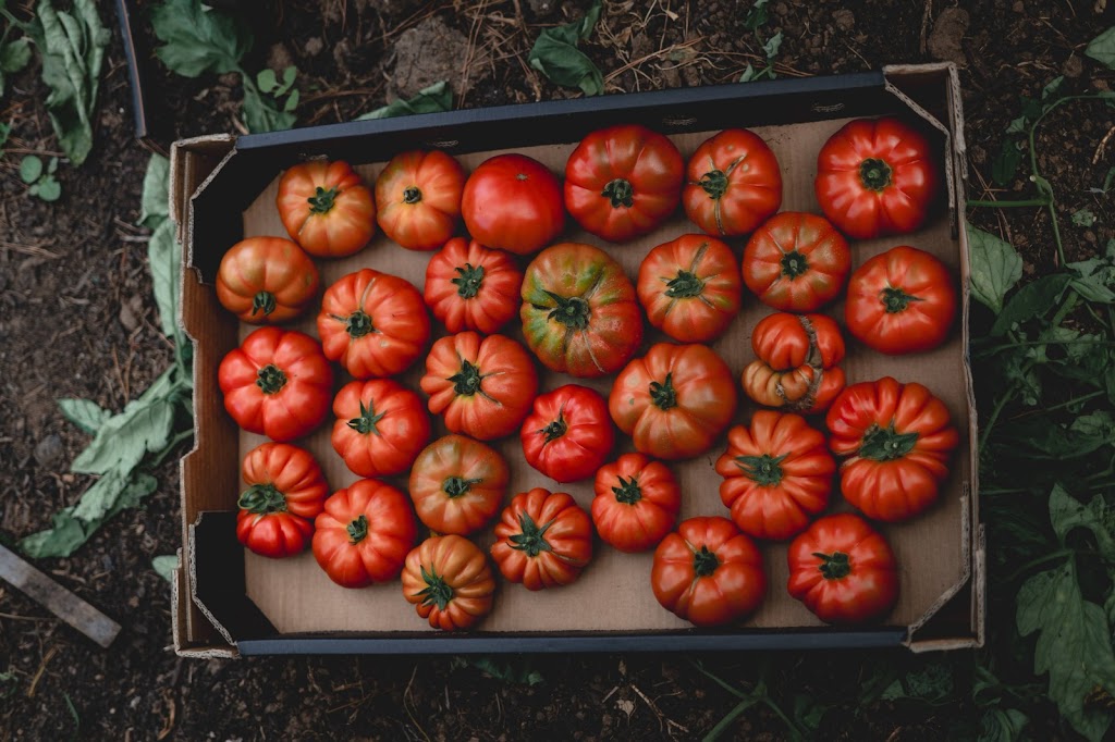 Five Tales Farm | 3525 Yarra Junction-Noojee Rd, Piedmont VIC 3833, Australia | Phone: 0466 979 331 Five Tales Farm | 3525 Yarra Junction-Noojee Rd, Piedmont VIC 3833, Australia | Phone: 0466 979 331