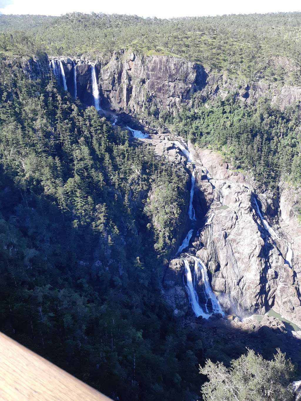 Wet Tropics Great Walk (Blencoe Falls Section) | Cashmere Kirrama Rd, Kirrama QLD 4872, Australia