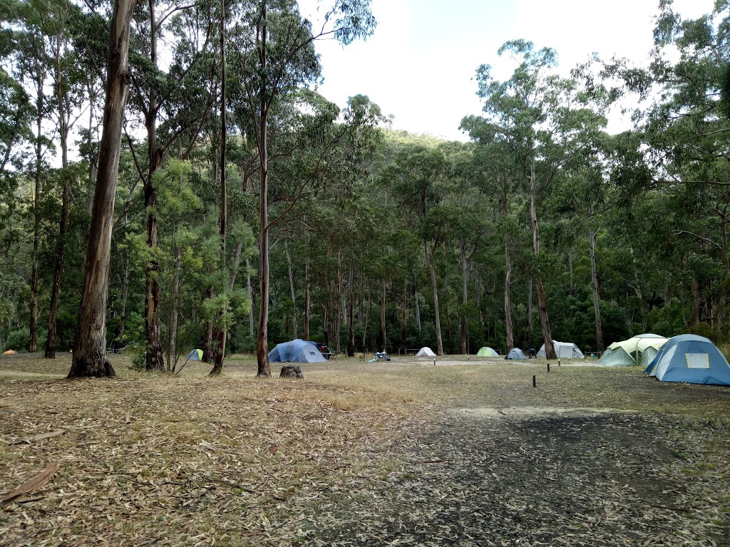 Allenvale Mill Bush Campground | Lorne VIC 3232, Australia | Phone: 13 19 63
