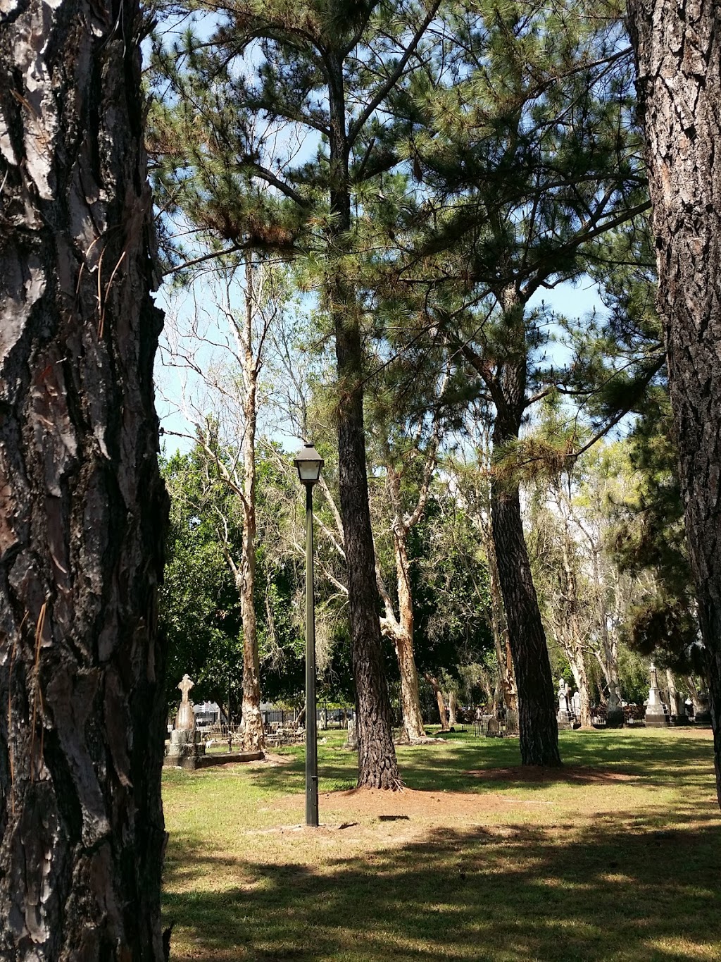 McLeod Street Pioneer Cemetery | cemetery | 127-145 McLeod St, Cairns North QLD 4870, Australia | 0740443044 OR +61 7 4044 3044