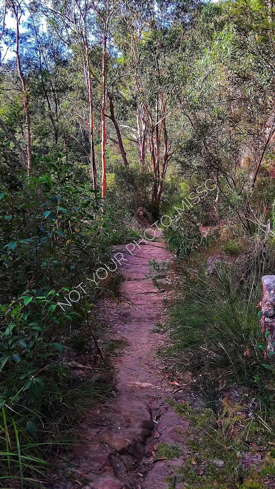 Blue Pool | Blue Pool, New South Wales 2787, Australia | Phone: 1300 072 757