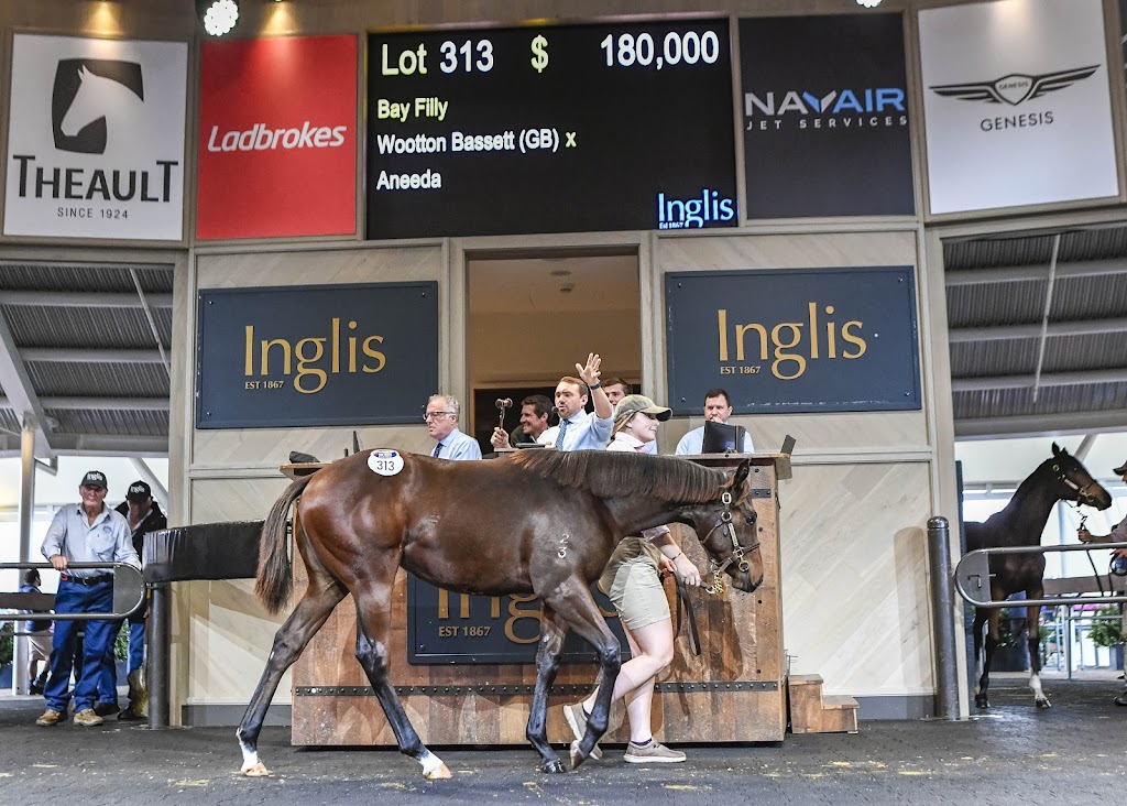 Lanitza Stud & Spelling | 775 Parker Rd, Lanitza NSW 2460, Australia | Phone: 0416 785 083