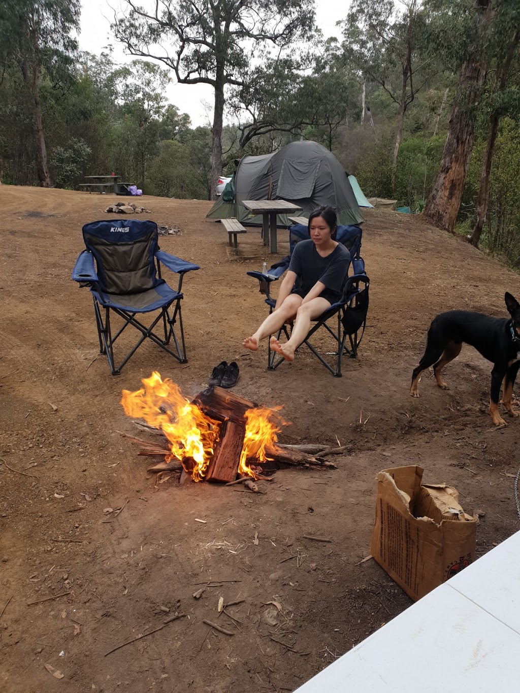 Froam Campground | campground | Freestone Creek Rd, Briagolong VIC 3860, Australia | 136186 OR +61 136186
