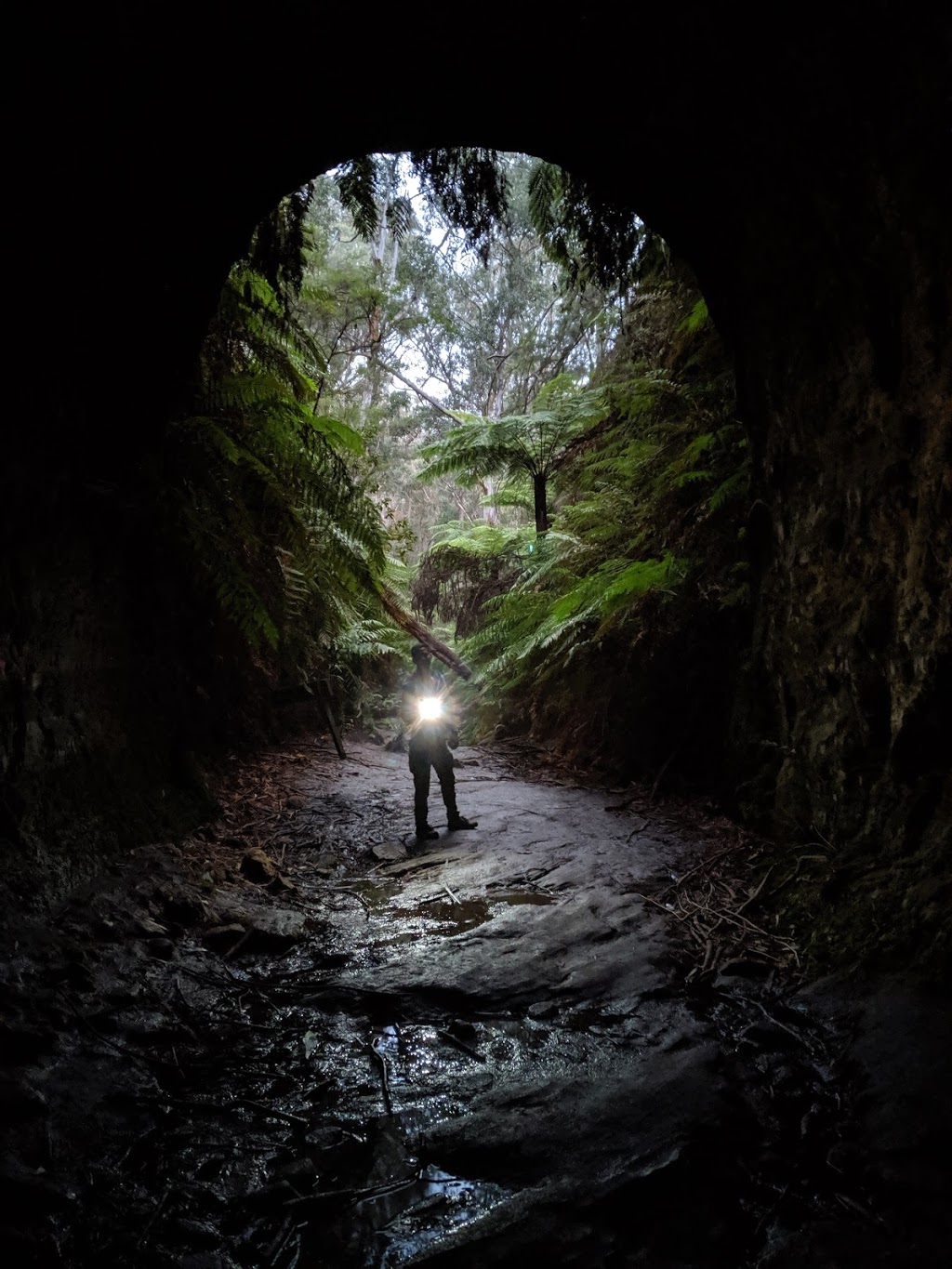 Glow Worm Tunnel CarPark | Glowworm Tunnel Rd, Newnes Plateau NSW 2790, Australia