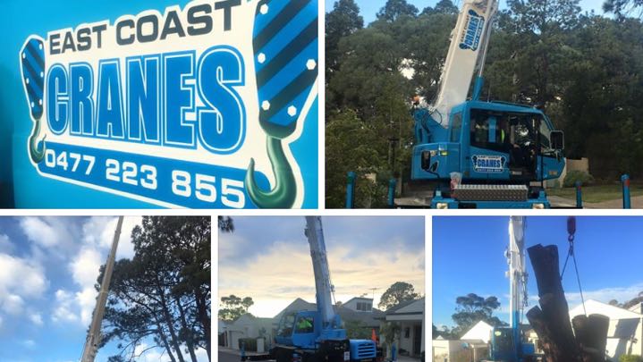 East Coast Crane Services Pty Ltd | 3 Chiltern Rd, Ingleside NSW 2101, Australia | Phone: 0477 223 855