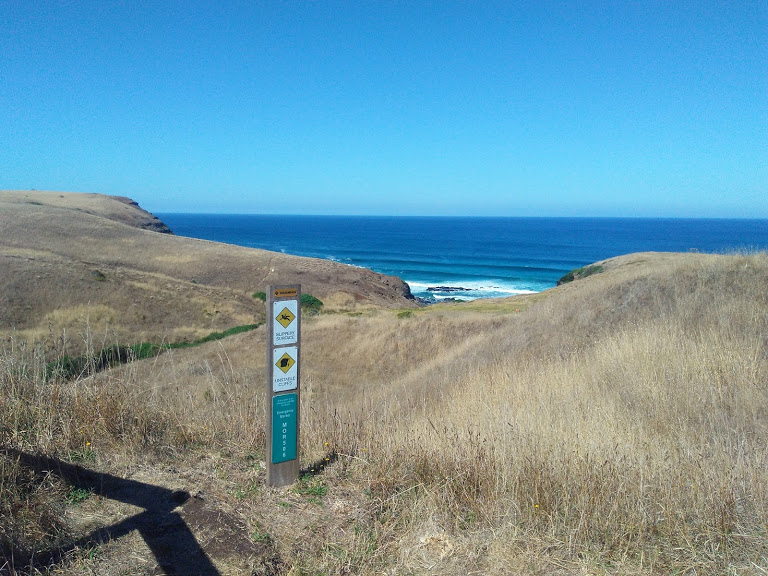 Walking Track Tea Tree Creek | Flinders VIC 3929, Australia