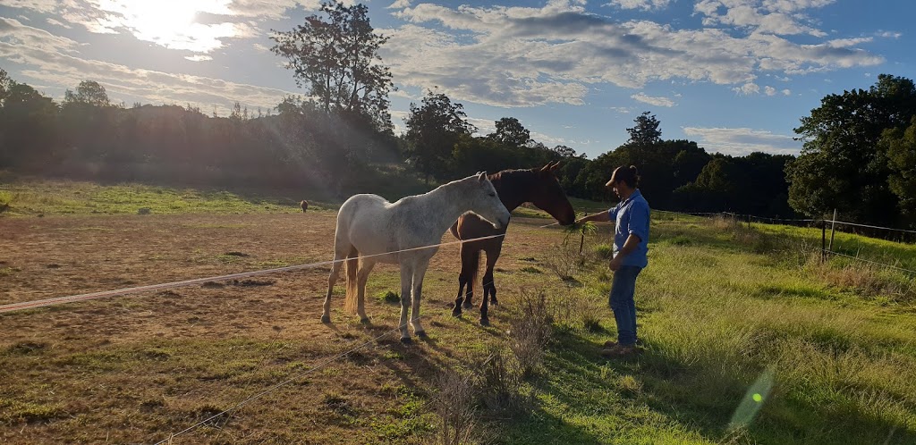 Zaytuna Farm: Home of the Permaculture Research Institute | 1158 Pinchin Rd, The Channon NSW 2480, Australia | Phone: 0416 119 965