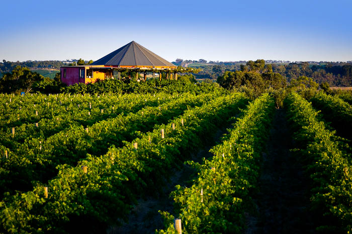 Hugh Hamilton Wines | tourist attraction | 94 McMurtrie Rd, McLaren Vale SA 5171, Australia | 0883238689 OR +61 8 8323 8689