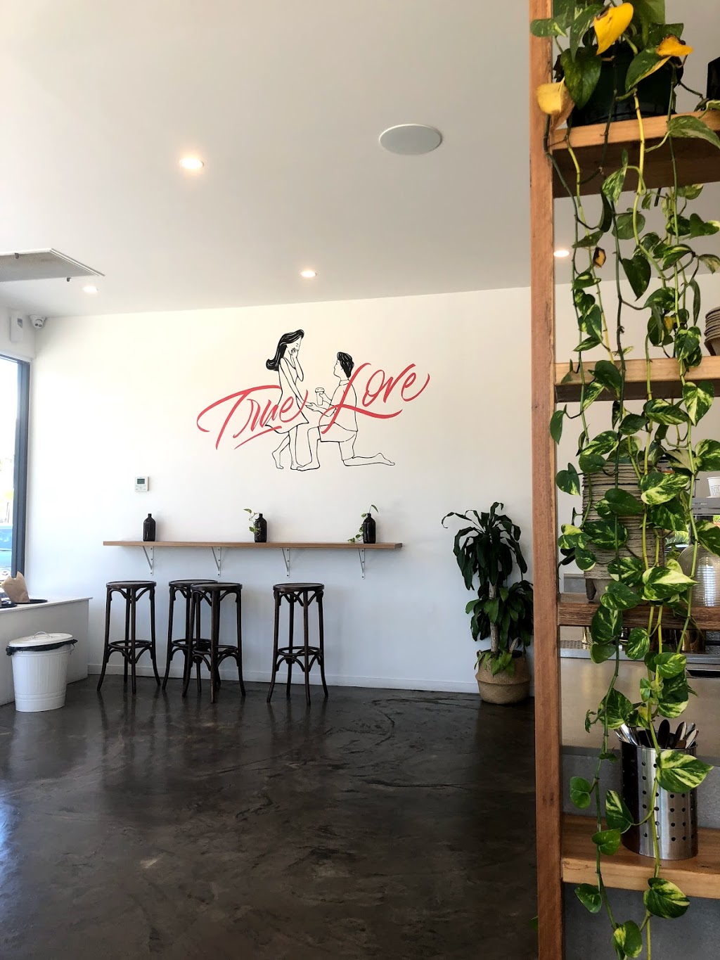 Papercup Coffee | cafe | Shop 3/201 Ferry Rd, Southport QLD 4215, Australia