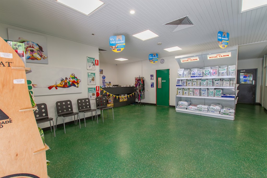 Animal Desexing Clinic | veterinary care | 604 Port Rd, Allenby Gardens SA 5009, Australia | 0882854050 OR +61 8 8285 4050