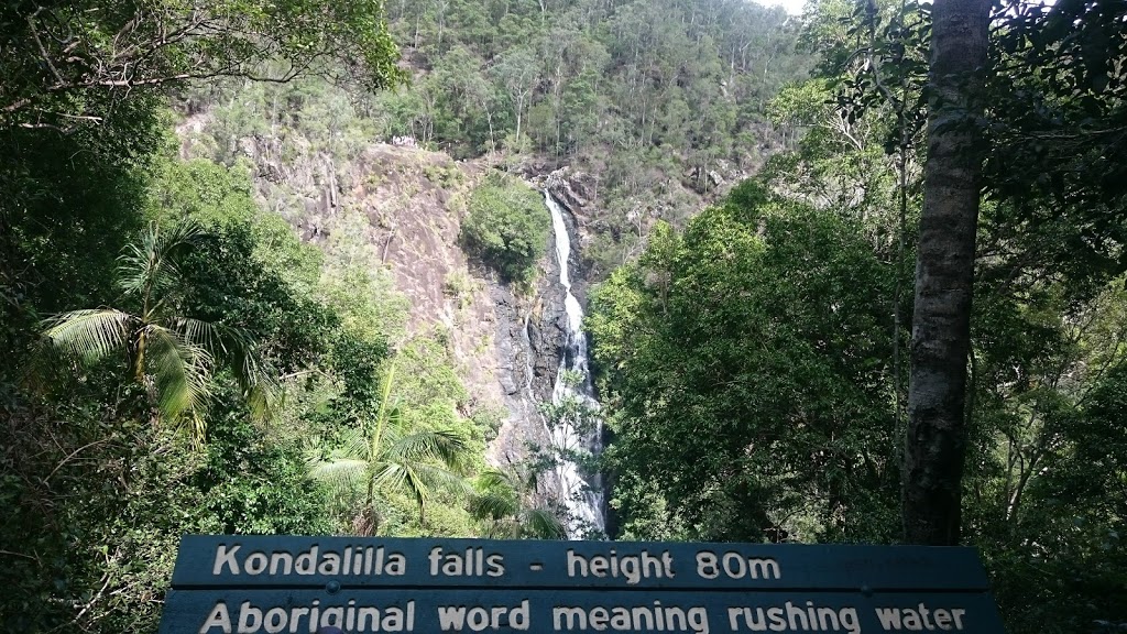 Kondalilla National Park | park | Kondalilla Falls Rd, Flaxton QLD 4560, Australia