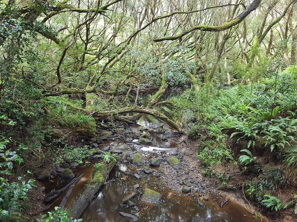 McKenzie River Rainforest Walk | Club Terrace VIC 3889, Australia | Phone: 13 19 63