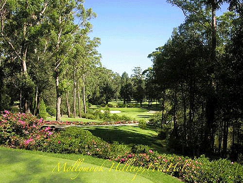 Mollymook Golf Club | 72 Golf Ave, Mollymook NSW 2539, Australia | Phone: (02) 4455 1911