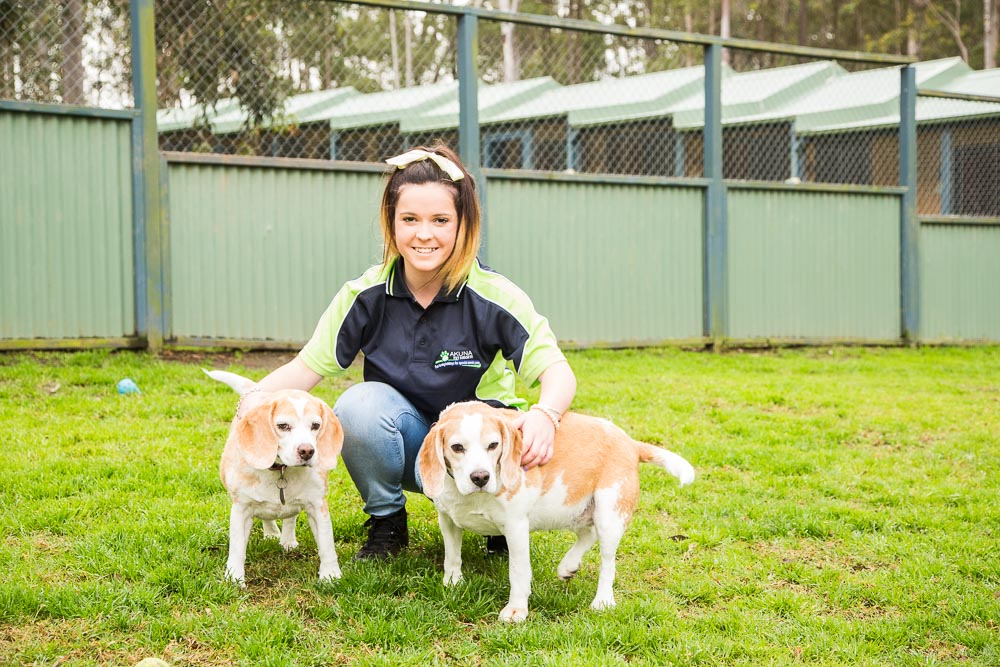 Akuna Pet Resorts | veterinary care | 254 Bathurst St, Sawyers Gully NSW 2326, Australia | 0249304452 OR +61 2 4930 4452
