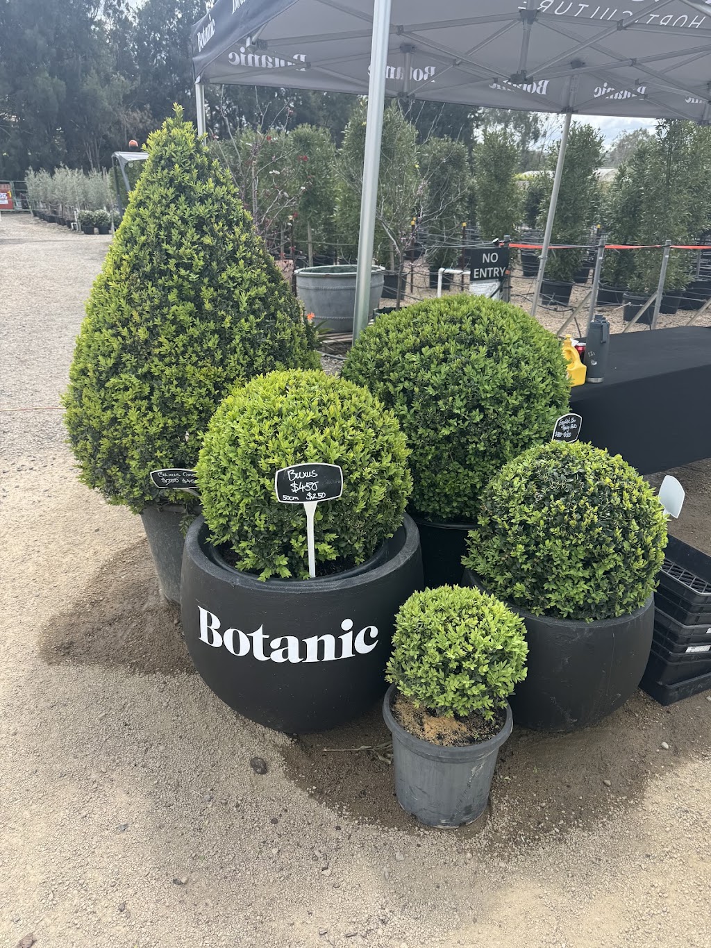 Botanic Nursery | 5 Lower Homestead Rd, Wonga Park VIC 3115, Australia | Phone: 0439 445 028