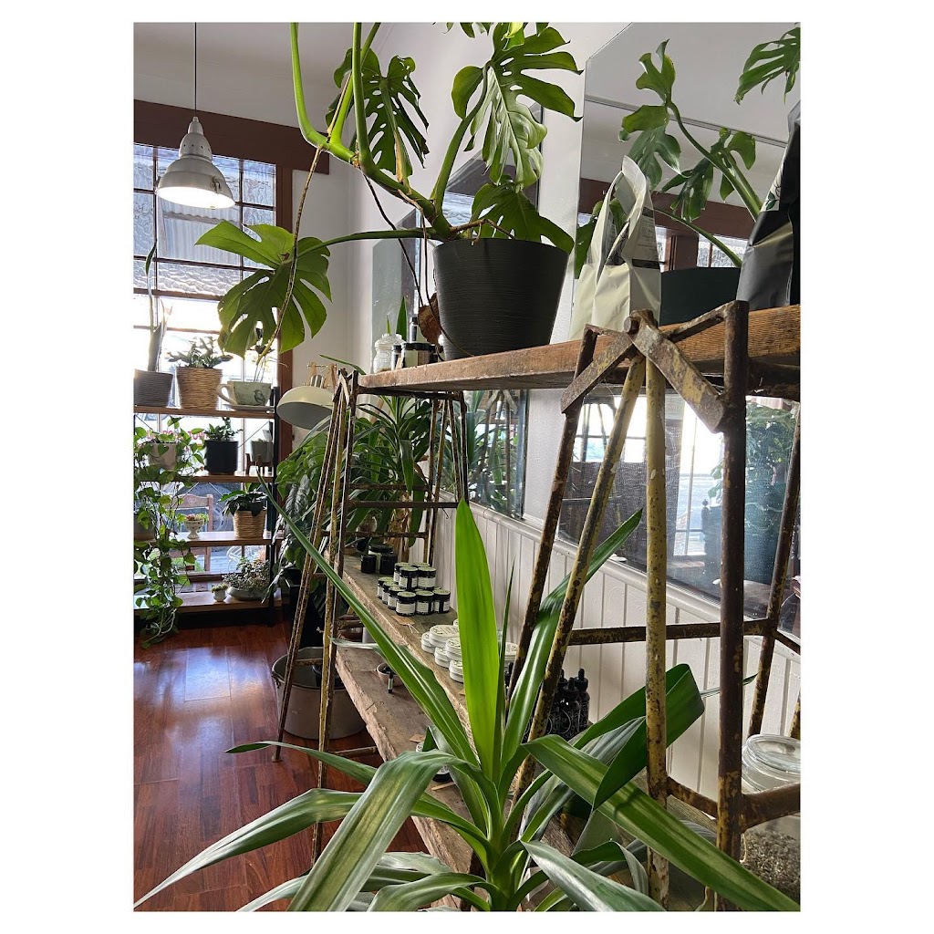 Happy Biome | store | 4 Barclay St, Latrobe TAS 7307, Australia | 0408707249 OR +61 408 707 249