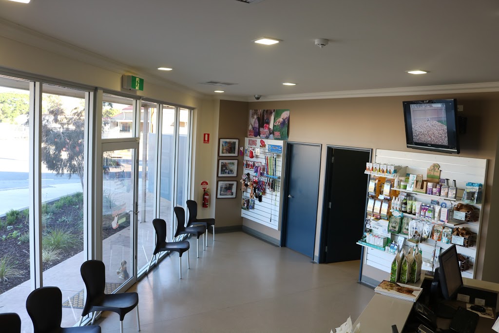 Port Adelaide Veterinary Clinic & Cattery | veterinary care | 190-194 Hart St, Ethelton SA 5015, Australia | 0884494011 OR +61 8 8449 4011