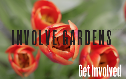 Involve Gardens | general contractor | Brooker Ave, Beacon Hill NSW 2100, Australia | 0451783452 OR +61 451 783 452