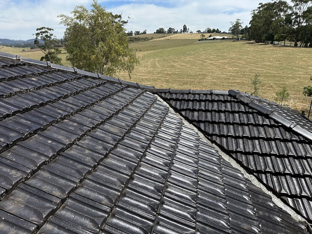 Lyrebird Outdoor Cleaning | 1615 Old Sale Rd, Buln Buln East VIC 3821, Australia | Phone: 0422 109 629