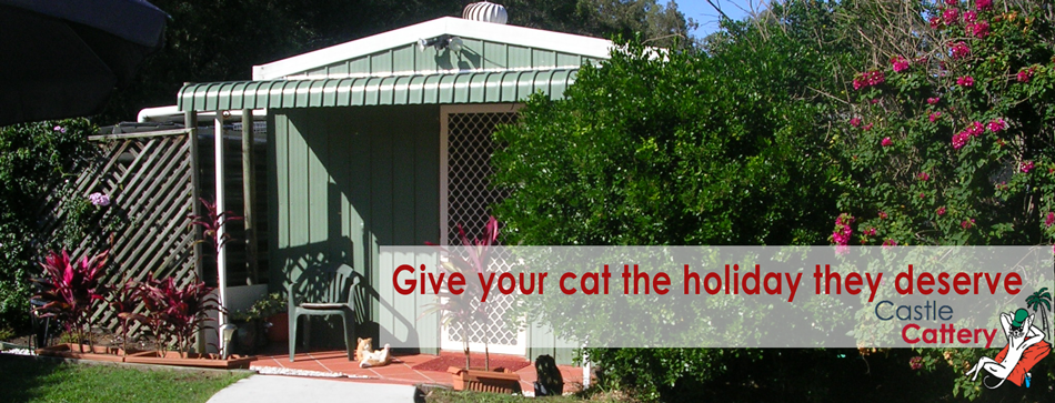 Castle Cattery | veterinary care | 221 Carter Rd, Munruben QLD 4125, Australia | 0738021337 OR +61 7 3802 1337