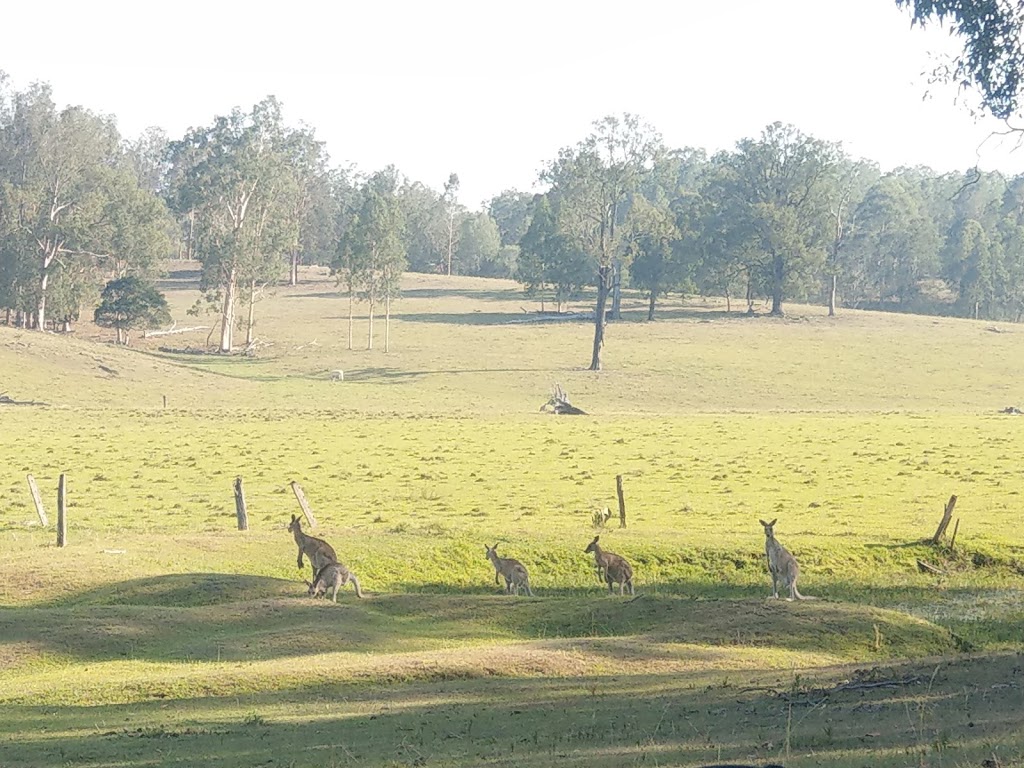 Gummies Bush Camps | lodging | 400 Biddaddaba Creek Rd, Canungra QLD 4275, Australia | 0755430191 OR +61 7 5543 0191