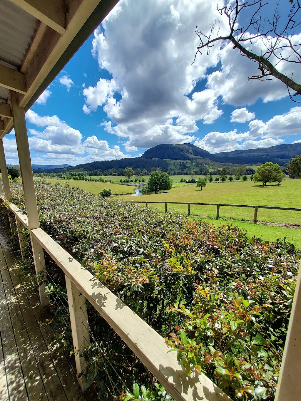 The Willows Cottage | Barrengarry NSW 2577, Australia | Phone: 0401 178 104