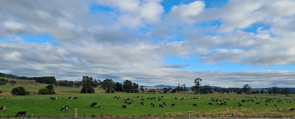 Meander Country Cabins & Vans | lodging | 238 Main Rd, Meander TAS 7304, Australia | 0438639858 OR +61 438 639 858