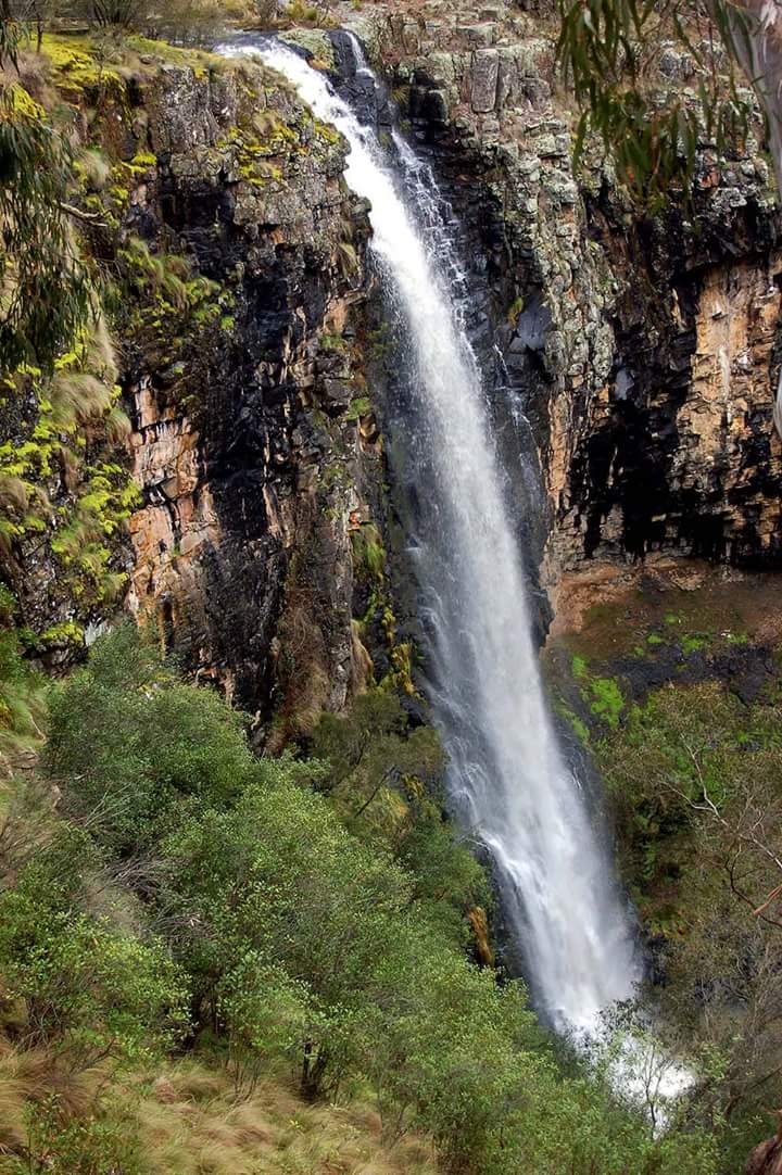 Coolah Tops National Park | park | Coolah NSW 2843, Australia | 0263727199 OR +61 2 6372 7199