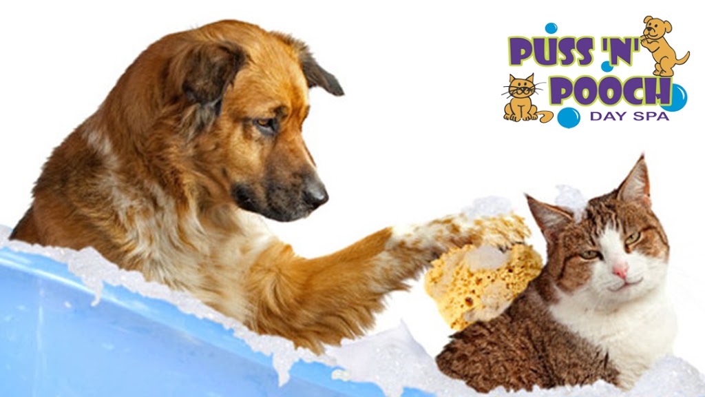 Puss N Pooch Day Spa | store | 1/111 Queen St, Cleveland QLD 4163, Australia | 0734882982 OR +61 7 3488 2982